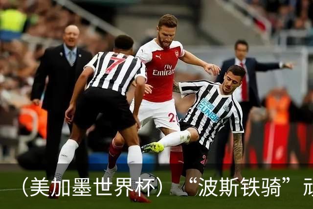 （美加墨世界杯）“波斯铁骑”顽强两连平 伊朗队期待更进一步